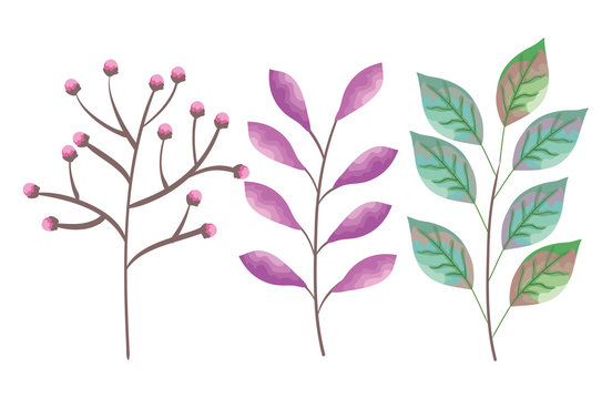 set leafs plant icons vector illustration design