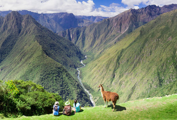 Llama and people on Inca Trail