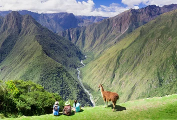 Crédence de cuisine en verre imprimé Machu Picchu Llama and people on Inca Trail