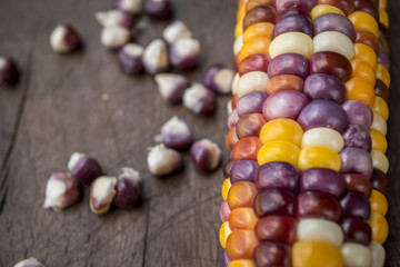 Close up corn, corn color on the wood background
