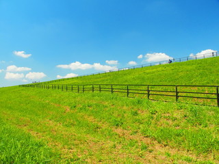 Fototapeta premium 柵のある土手風景
