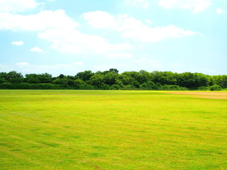 初夏の野球場のある平日の江戸川河川敷風景