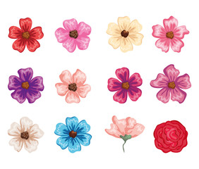 set beautiful flowers icons vector illustration design