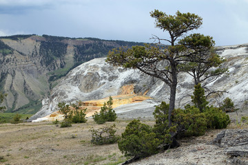 Yellowstone National Park in USA