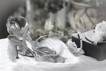 Fototapeta na wymiar Sliver Wedding Shoe