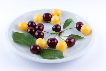 Naklejka na ściany i meble Red and yellow cherries on a white plate, fresh multicolored cherries with green leaves, yellow and red berries in the style of minimalism, vegetarian food, blank for the designer