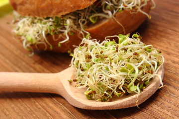 Alfalfa and radish sprouts on spoon and wholemeal bread roll in background