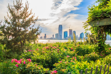 A garden with beautiful flowers during a sunset with a New York city skyline behind.