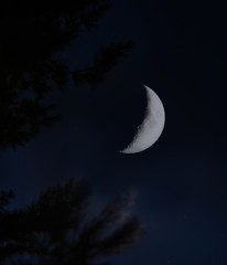 crescent moon on dark sky in Minnesota USA