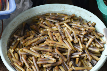 Snail shells in basin at Don Hoi lot in Samut songkham , Thailand.