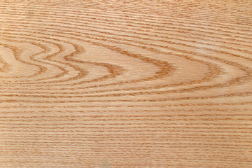 Texture of veneer of American oak.