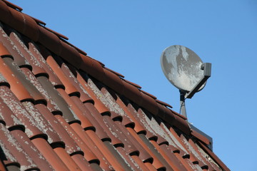Satellite Dish