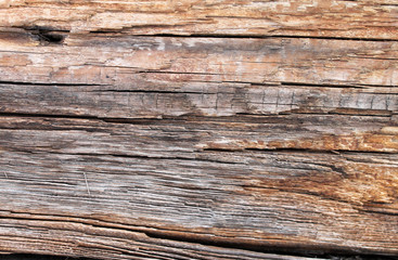 The old wood texture with natural patterns. Inside the tree background. Old grungy and weathered grey wooden wall planks texture background