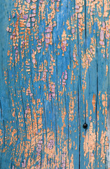Old wooden background with remains of pieces of scraps of old paint on wood. Texture of an old tree, board with paint, vintage background peeling paint. old blue board with cracked pain