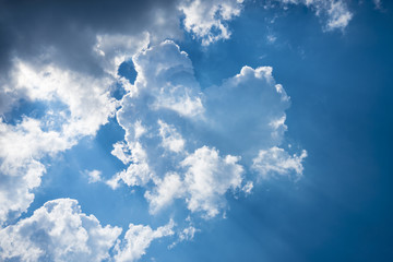 Naklejka na ściany i meble White clouds on the blue sky during the day