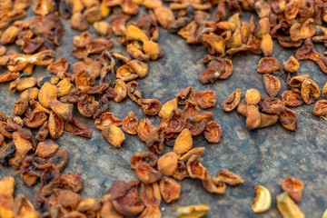 Homemade dried apricots. A leaf with halves of apricots