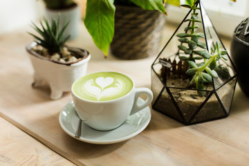 Green tea matcha latte art with succulent  cropped at an angle at a coffee shop cafe on wooden table 