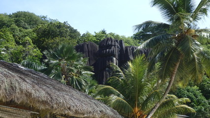 Fototapeta premium Seychellen-Mahe-Eindrücke und Impressionen 