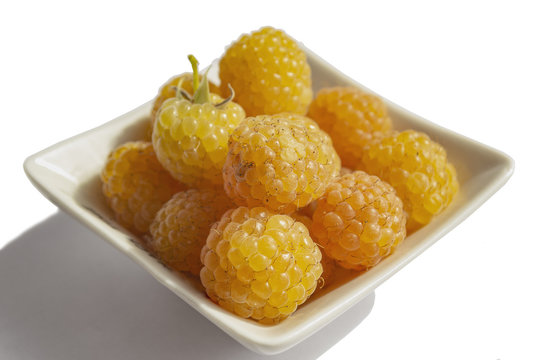 Yellow raspberry in a white Cup
