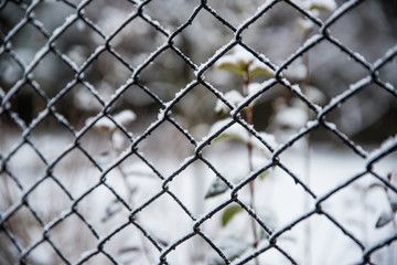 Behind the fence