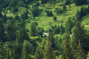 One wooden house alone on mountain green hills forest