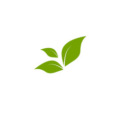 Three green leaves. Icon Isolated on white. Logo for eco company, agriculture, nature firm, ecology,