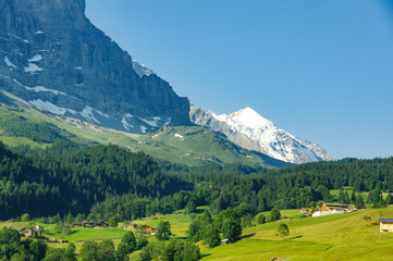 Silberhorn and Green Hill in Swiss