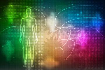 2d illustration Human Male Muscle Body