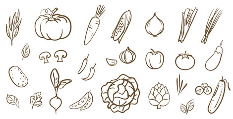 Mix vegetables collection, cute line art vector illustration in cartoon style