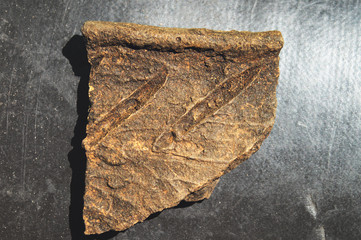Archaeological finds from excavations in the Saratov region. Fragments of antique painted pot...