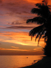 Cook Islands tropical sunset