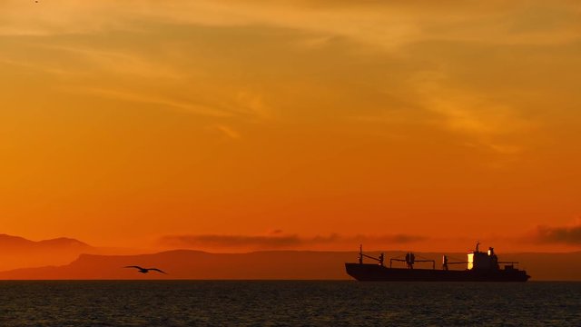 A huge cargo ship stands on a roadstead at sea in the yellow rays of the evening sun