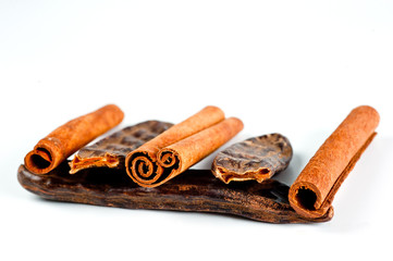 Fruit and carob tree seeds and cinnamon sticks shot close-up on a white background
