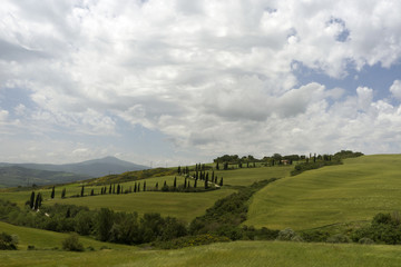 Fototapeta na wymiar Rural landscape in Tuscany