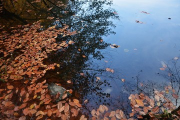Yedigoller National Park in Bolu, Turkey