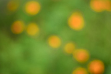 Obraz premium The background is multicolored and blurry.