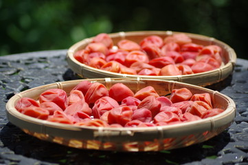 梅干　Salted plums