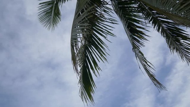 Beach resort in Cebu