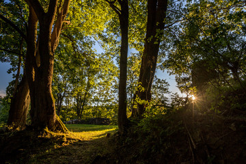 Burgruine im Sonnenuntergang im Waldecker Land