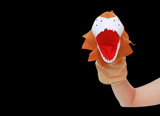 Hand wearing Lion puppets isolated on black background, Lion head.
