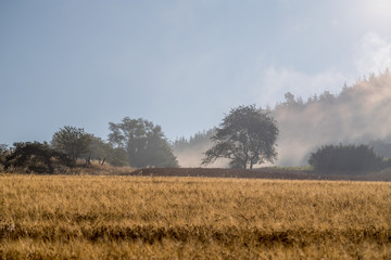 Obraz premium Frühnebel über den Feldern am Rande des Kellerwaldes