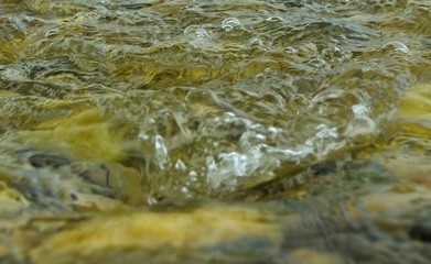 The rocky bottom of a mountain river