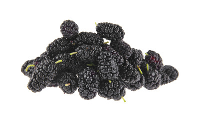 mulberry isolated on white background