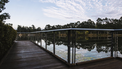 Obraz premium Beautiful lake in Springfield Lakes, Ipswich City, Queensland in the morning.