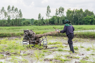 Obraz premium plows machine - Farmer using walking tractor plowing in rice field to prepare the area to grow rice.