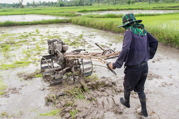 Fototapeta premium plows machine - Farmer using walking tractor plowing in rice field to prepare the area to grow rice.