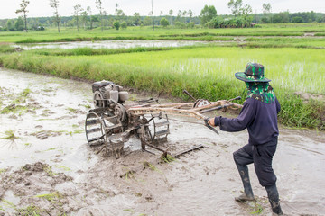 Obraz premium plows machine - Farmer using walking tractor plowing in rice field to prepare the area to grow rice.
