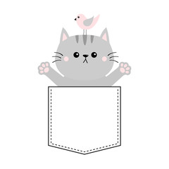 Gray cat, bird in the pocket. Holding hands up. Give me a hug. Cute cartoon animals. Kitten kitty character. Dash line. Pet animal. White background. T-shirt design. Baby collection. Flat design