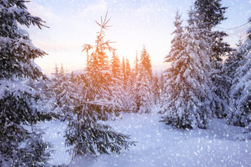 Snowy winter day in mountain hills.