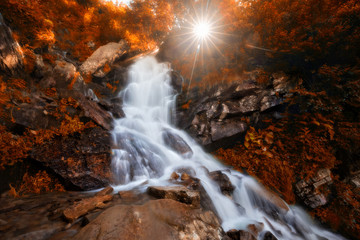Beautiful autumn waterfall in forest with golden foliage